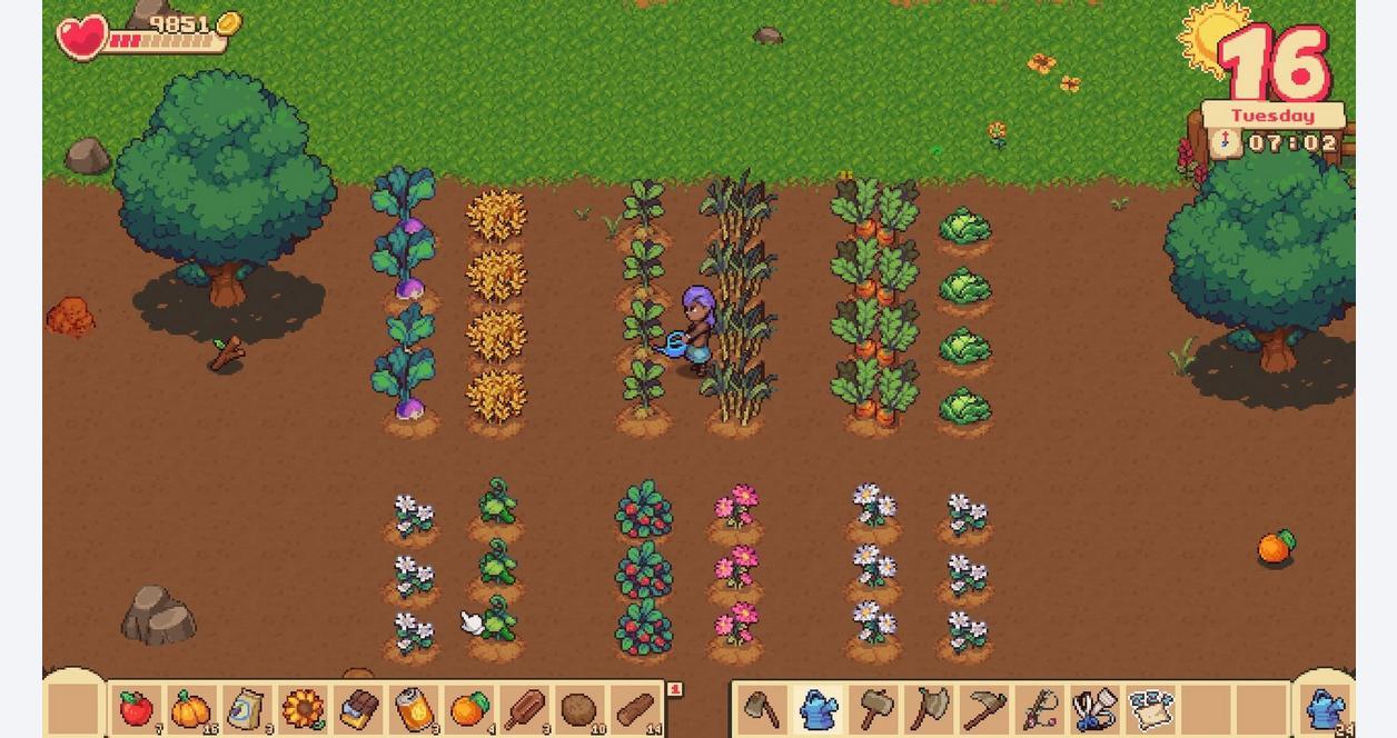 Orange Season إكس بوكس سيريس X|S حساب