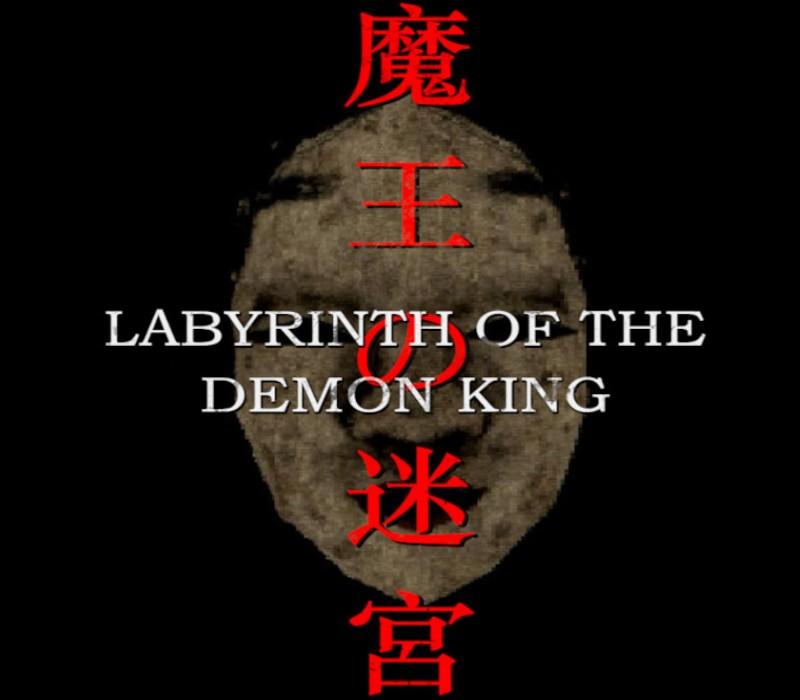 Labyrinth Of The Demon King PC Steam Account