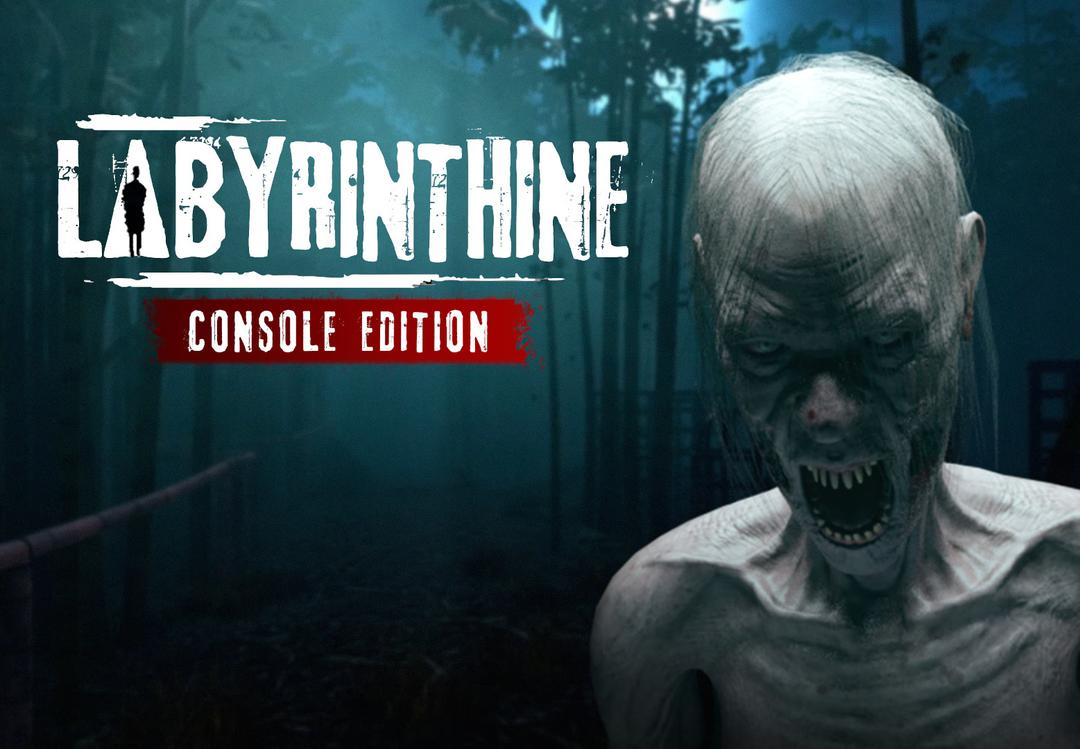 Labyrinthine Console اصدار اوروبي بلايستيشن 5 كود رقمي
