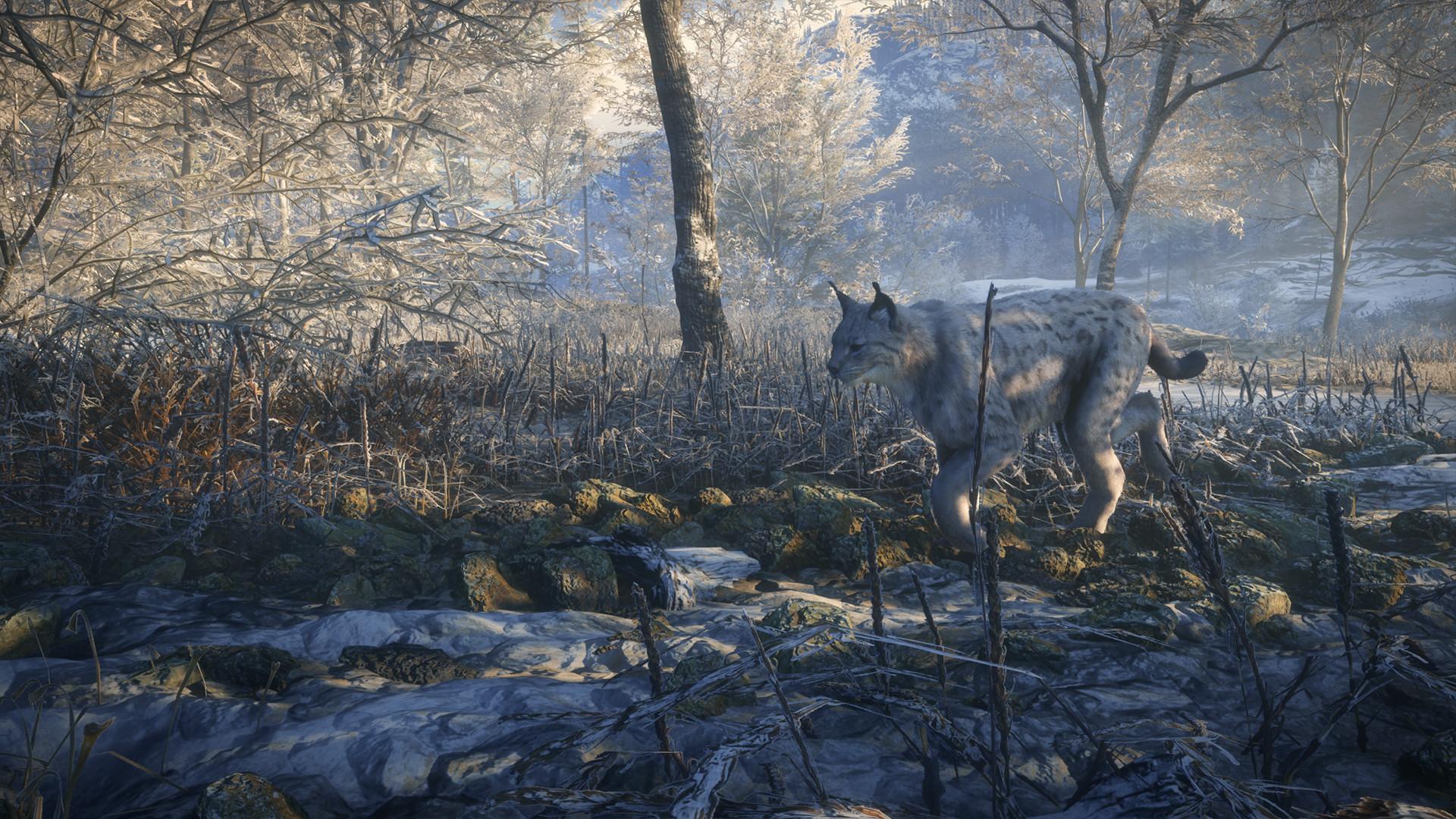 TheHunter: Call Of The Wild - Medved-Taiga DLC بي سي ستيم كود رقمي