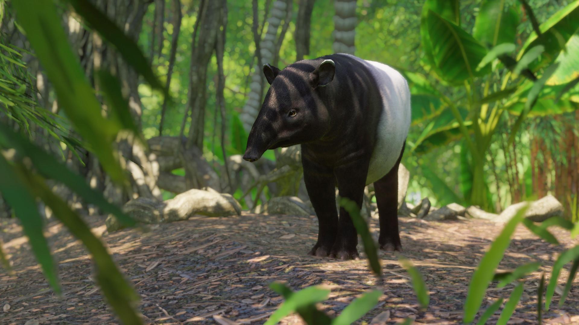 Planet Zoo - Southeast Asia Animal Pack DLC اوروبي V2 بي سي رابط هديه ستيم