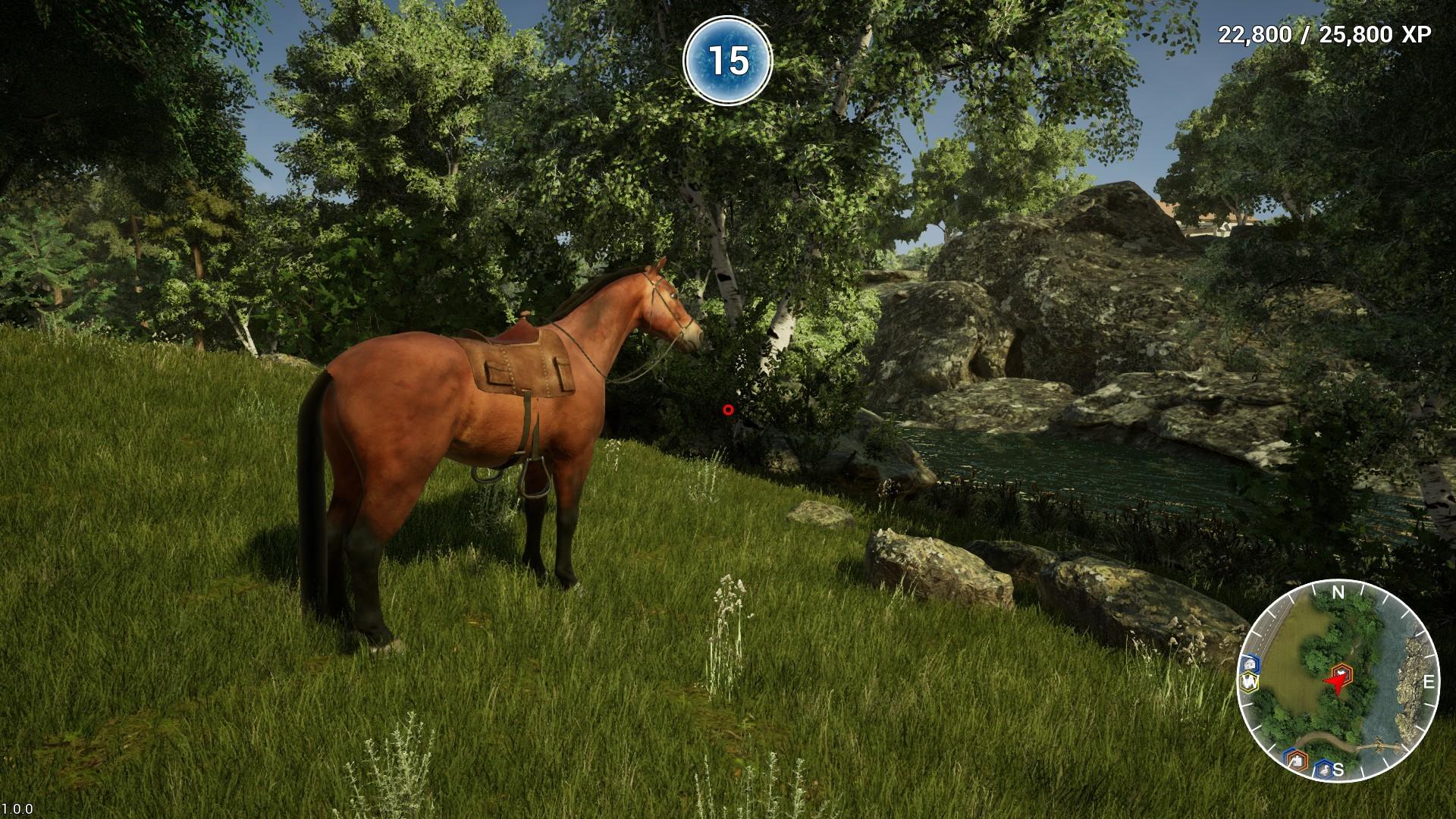 Animal Doctor بي سي ستيم كود رقمي