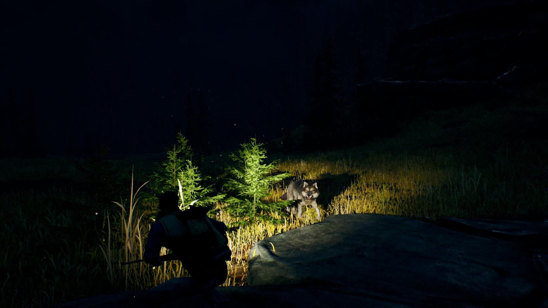 Open Country بي سي ستيم كود رقمي