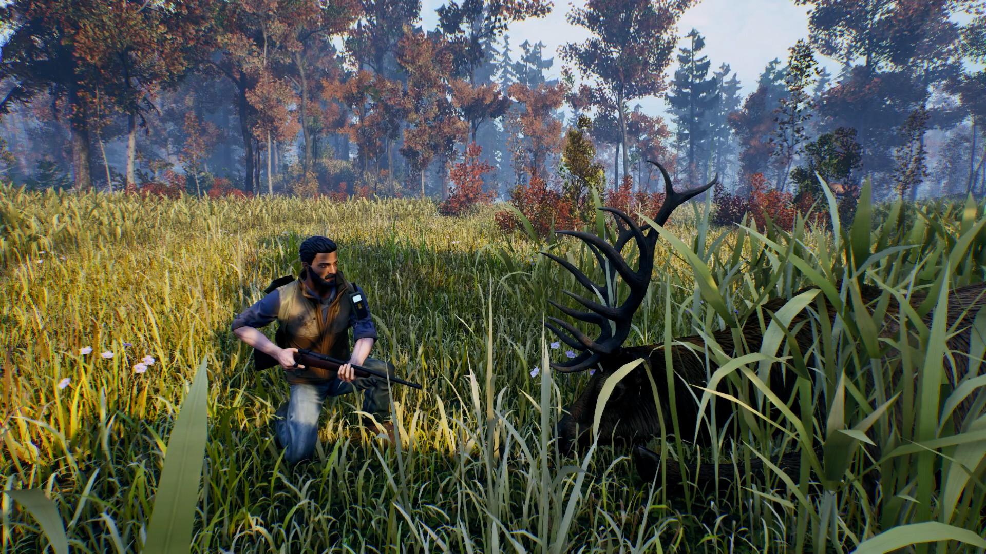 Open Country بي سي ستيم كود رقمي