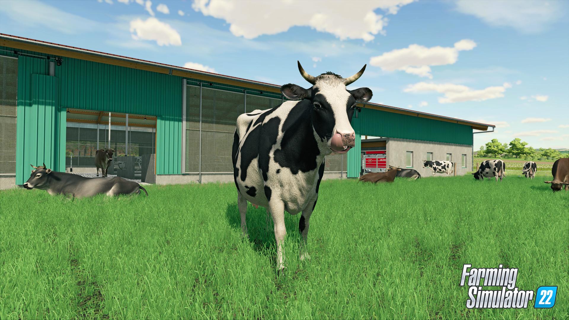 Farming Simulator 22 Year 1 حزمة بي سي ستيم كود رقمي