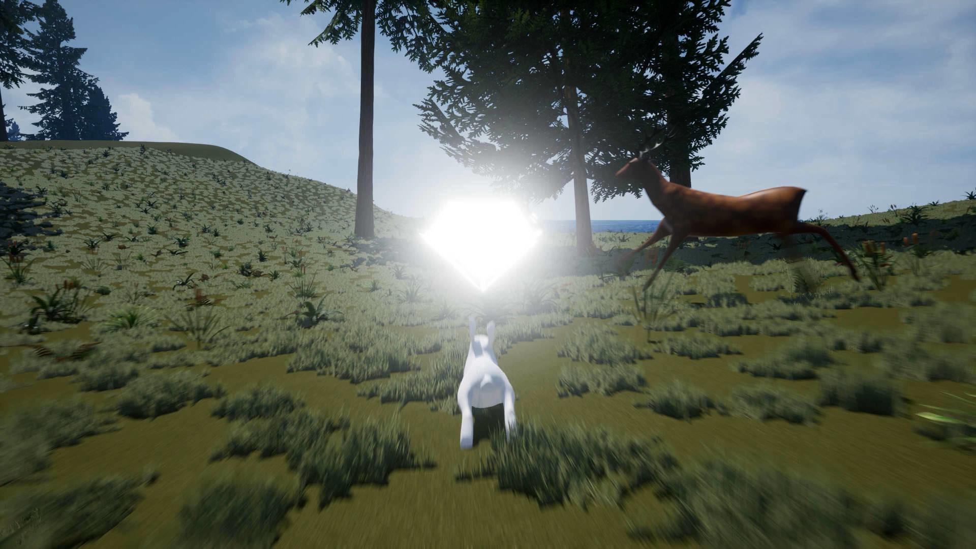 Bunny'S Buddy ستيم كود رقمي