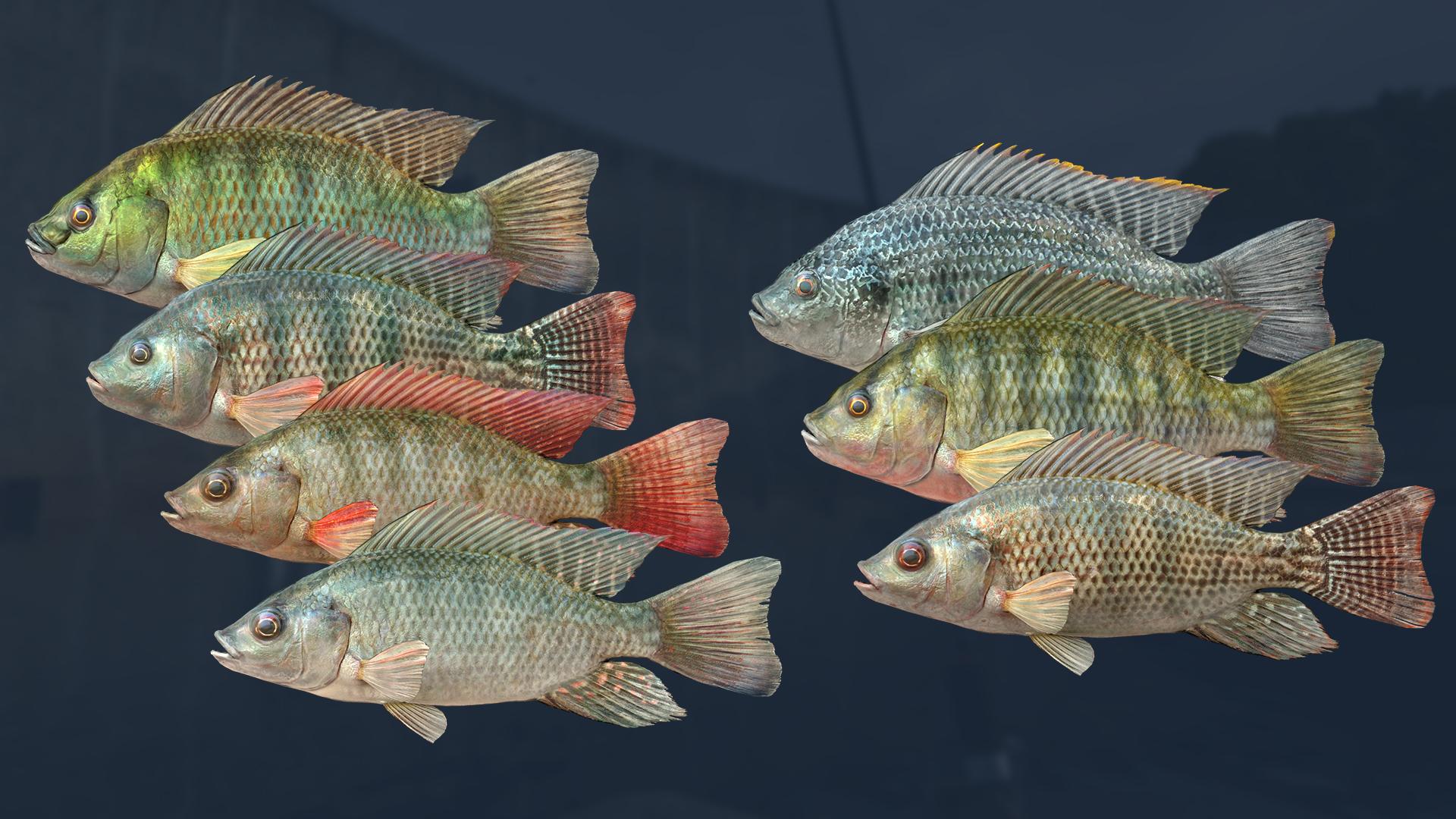 اولتمت Fishing Simulator - Kariba Dam DLC ستيم كود رقمي