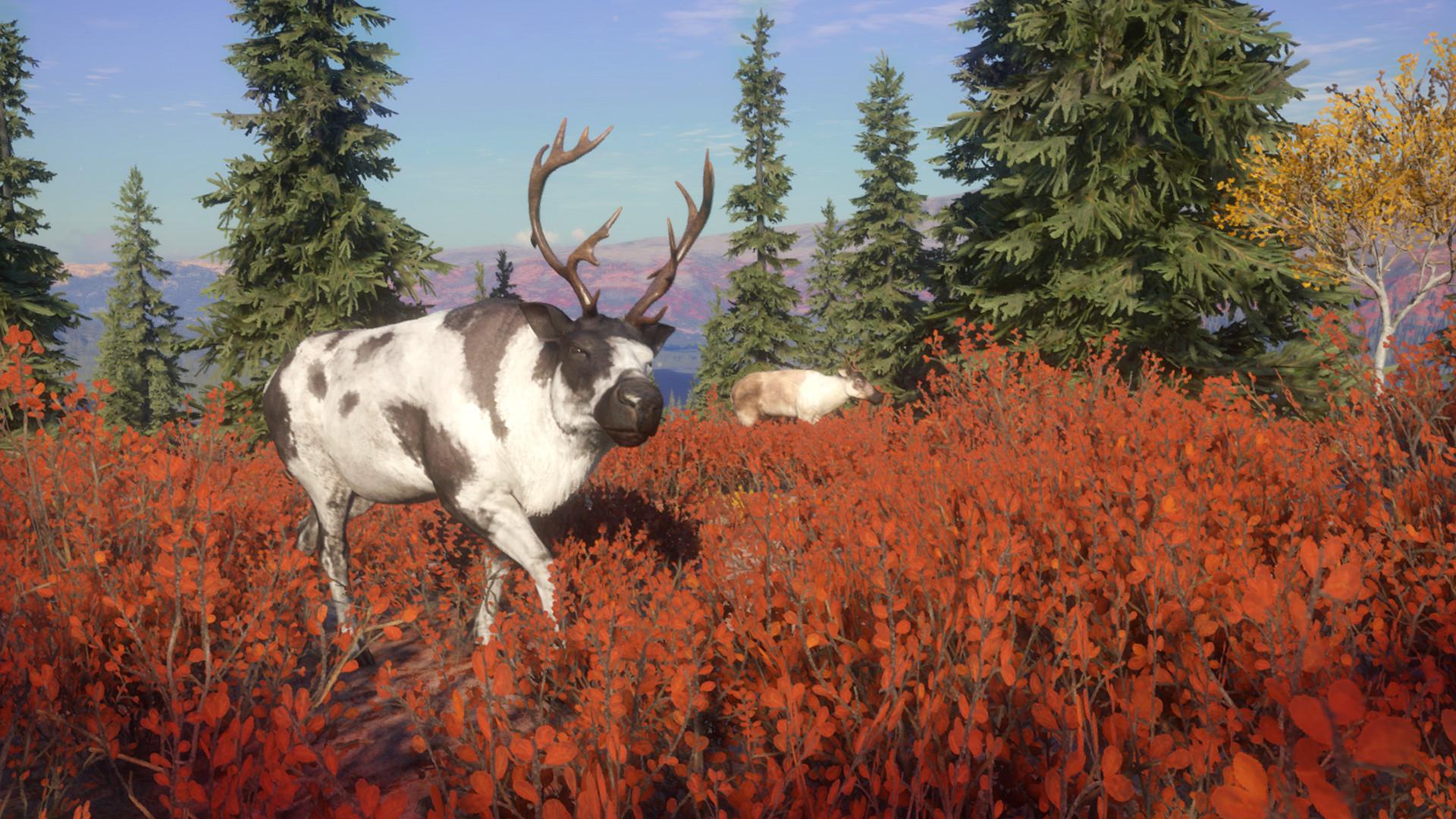 TheHunter: Call Of The Wild - Yukon Valley DLC بي سي ستيم كود رقمي