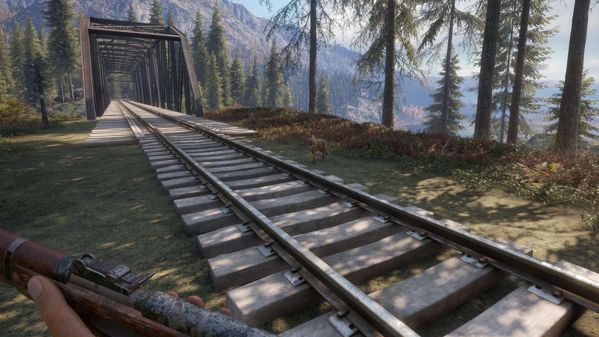 TheHunter: Call Of The Wild - Weapon Pack 2 DLC بي سي ستيم كود رقمي