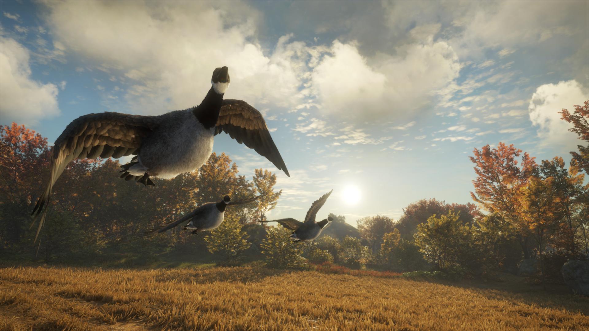 TheHunter: Call Of The Wild - Wild Goose Chase Gear DLC بي سي ستيم كود رقمي