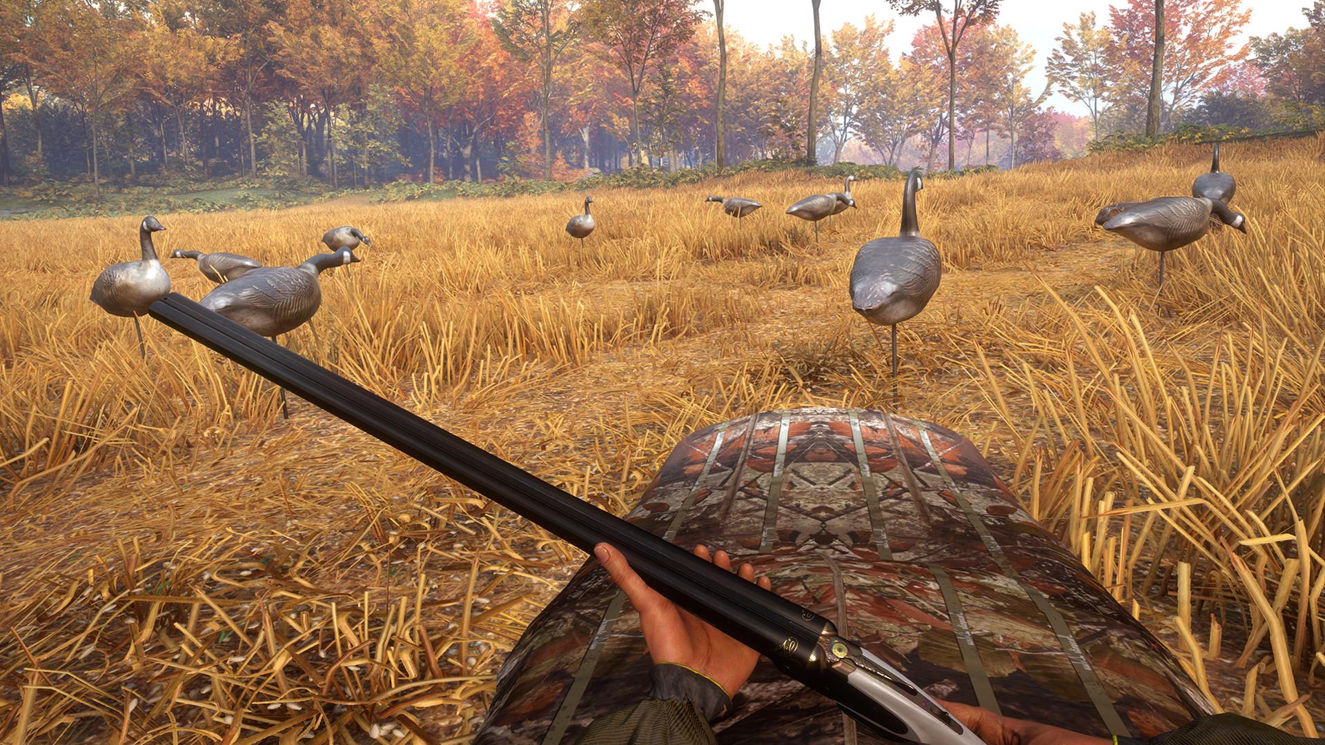 TheHunter: Call Of The Wild - Wild Goose Chase Gear DLC بي سي ستيم كود رقمي