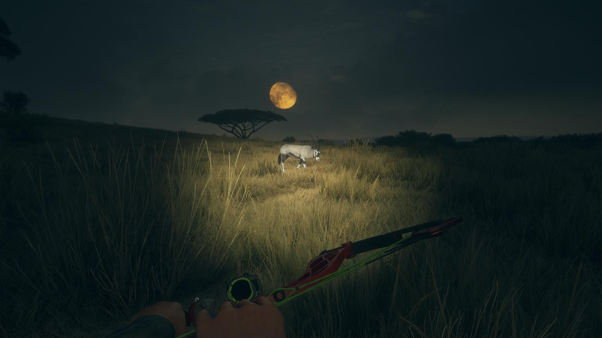 TheHunter: Call Of The Wild - High-Tech Hunting Pack DLC بي سي ستيم كود رقمي