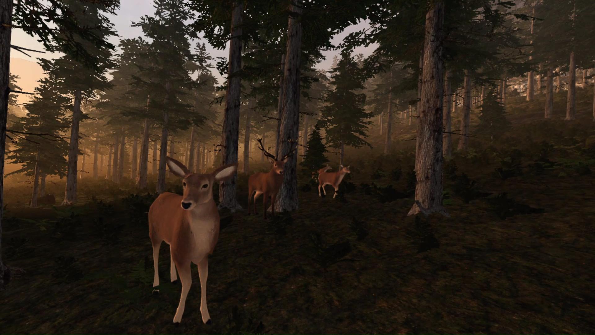 Virtual Hunter بي سي ستيم كود رقمي