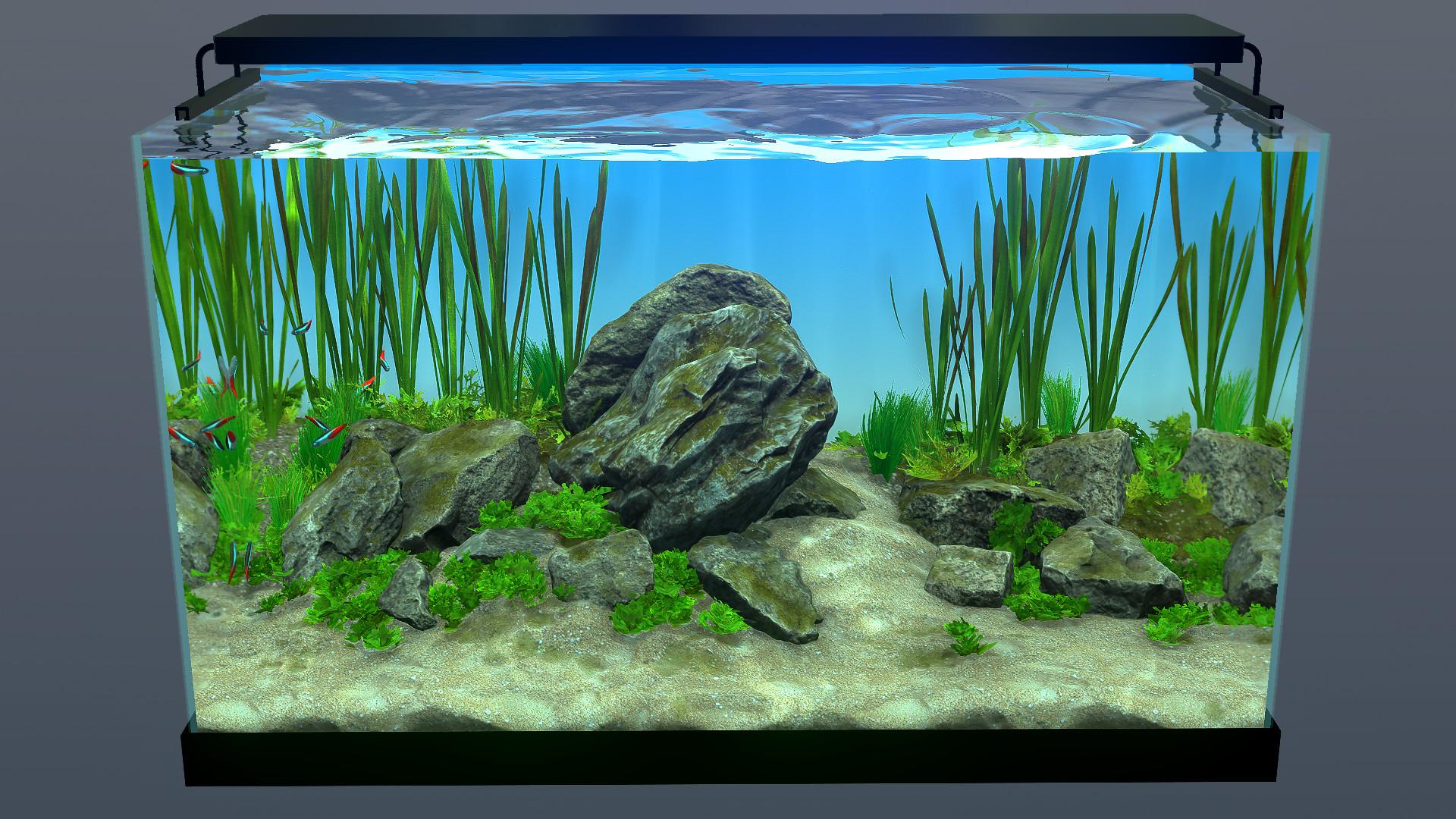Behind Glass: Aquarium Simulator ستيم كود رقمي