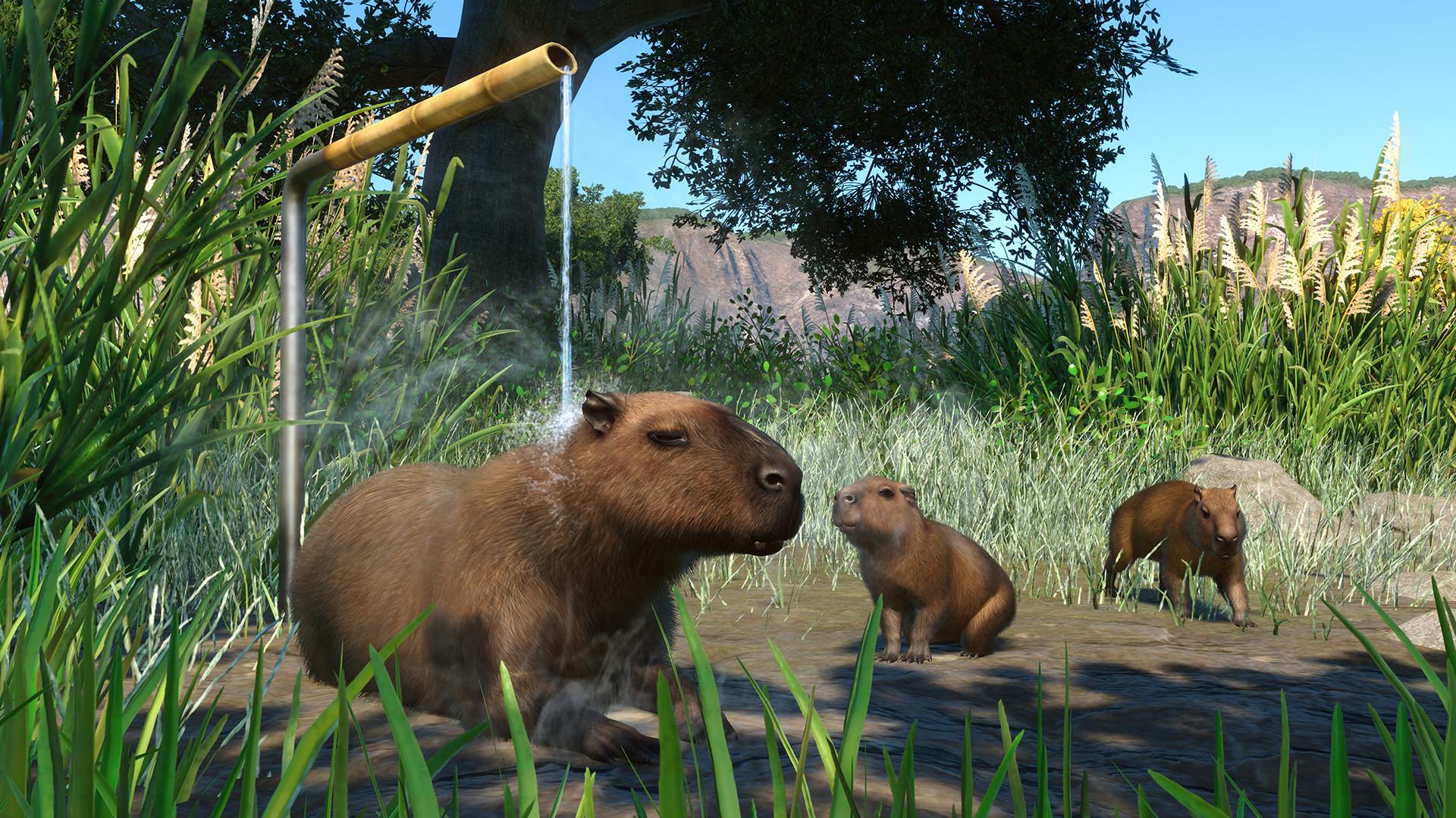 Planet Zoo - Wetlands Animal Pack DLC اوروبي ستيم كود رقمي