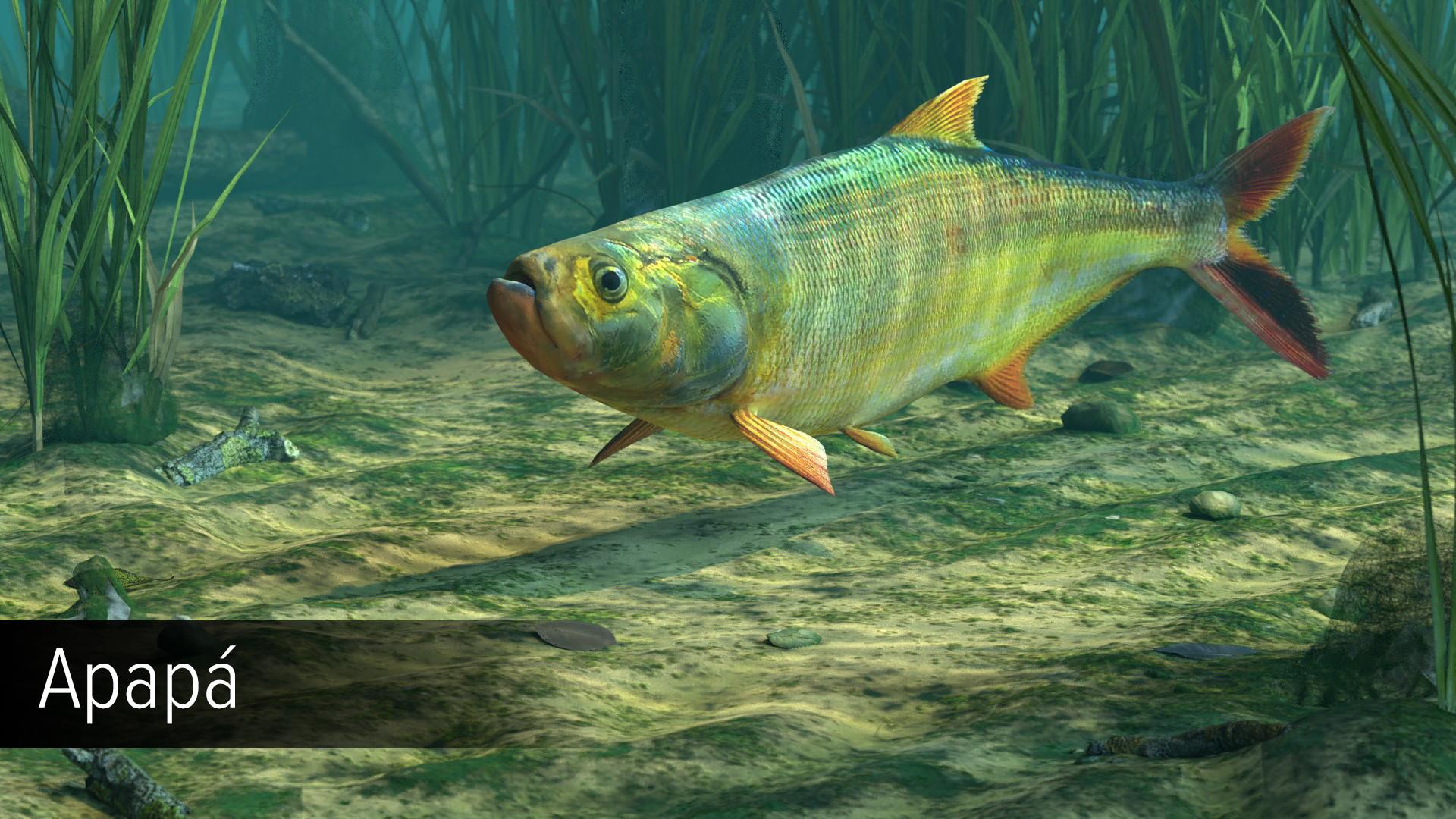 اولتمت Fishing Simulator - Amazon River DLC اوروبي ستيم كود رقمي