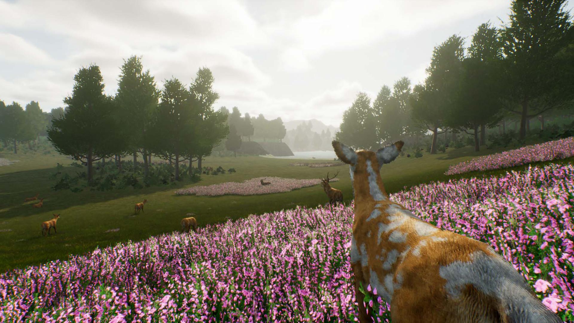 Deer Journey ستيم كود رقمي