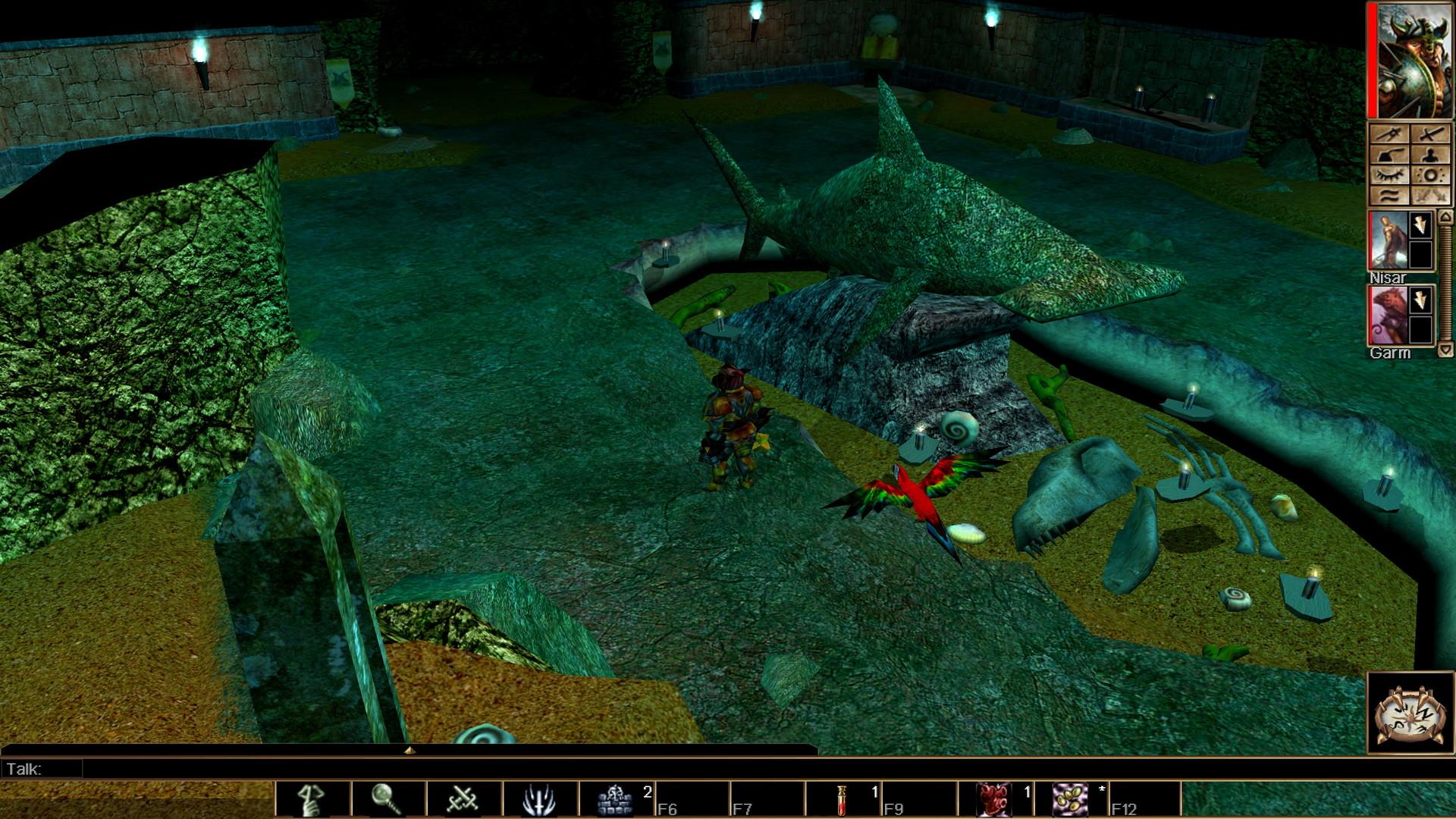 Neverwinter Nights: Enhanced اصدار - Pirates Of The Sword Coast DLC ستيم كود رقمي