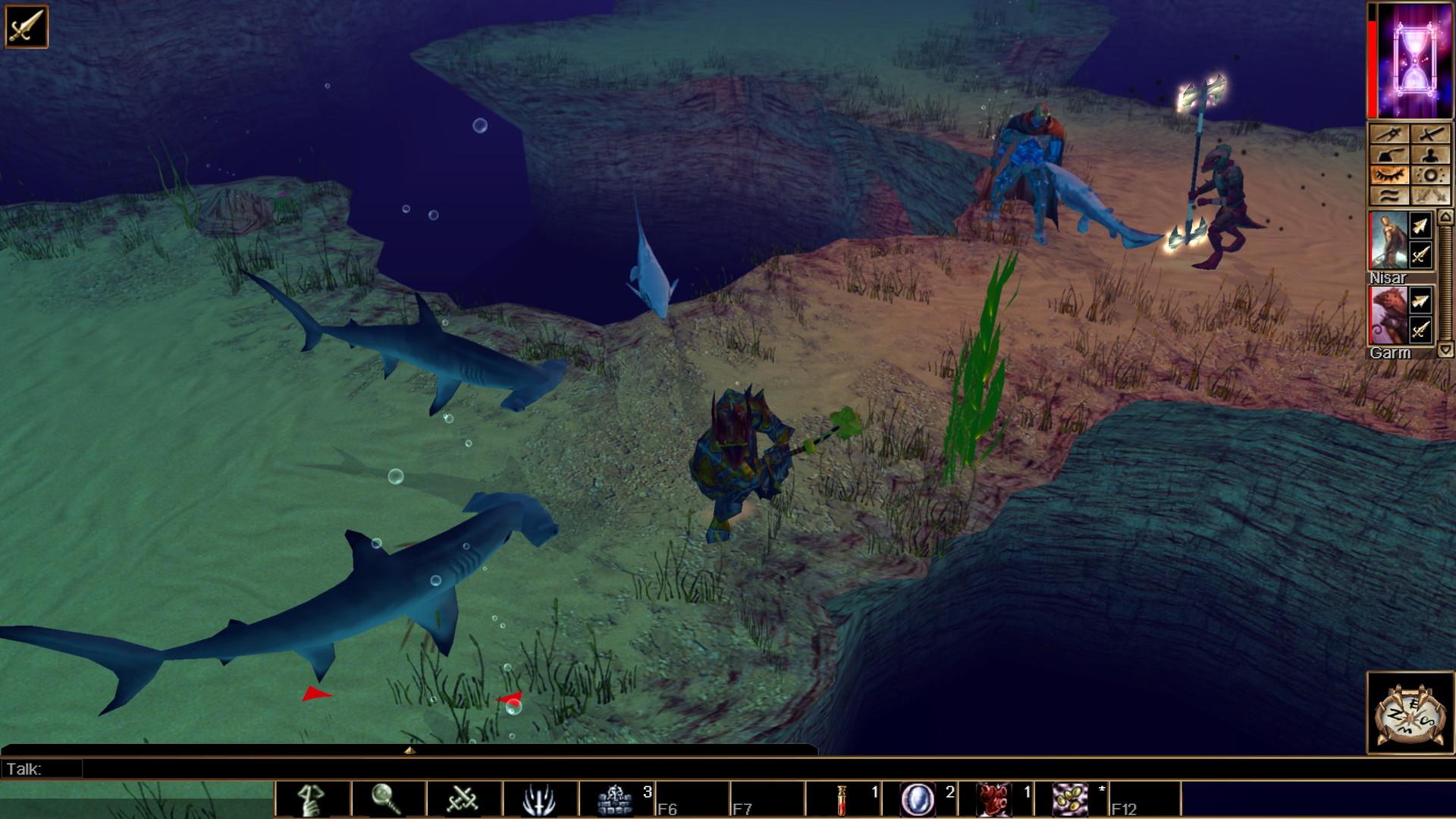 Neverwinter Nights: Enhanced اصدار - Pirates Of The Sword Coast DLC ستيم كود رقمي