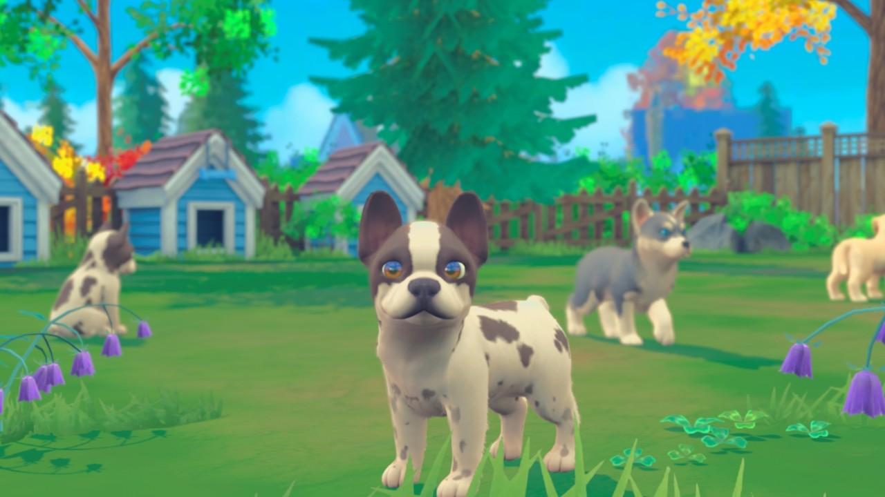 My Universe - Puppies & Kittens اوروبي نينتندو سويتش كود رقمي