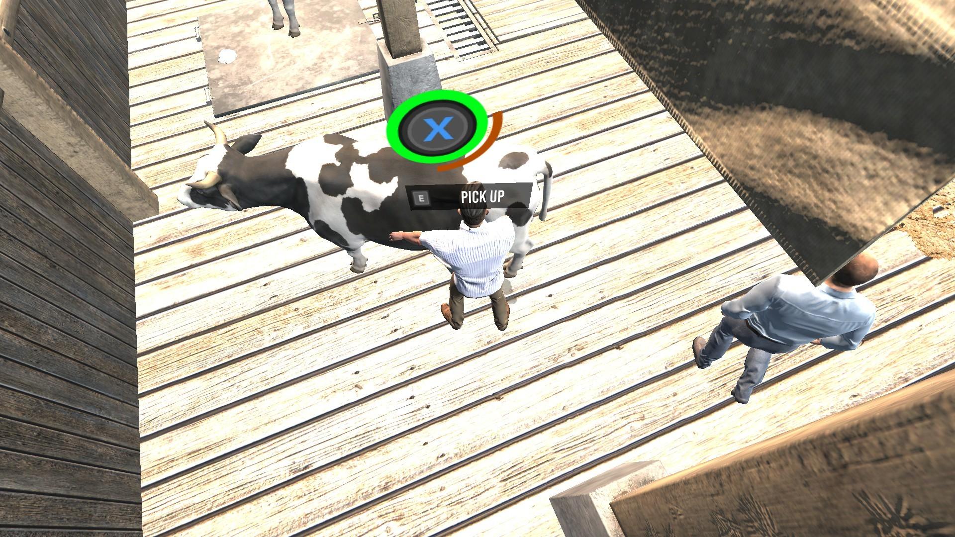 Directly Drink Milk From Cow ستيم كود رقمي