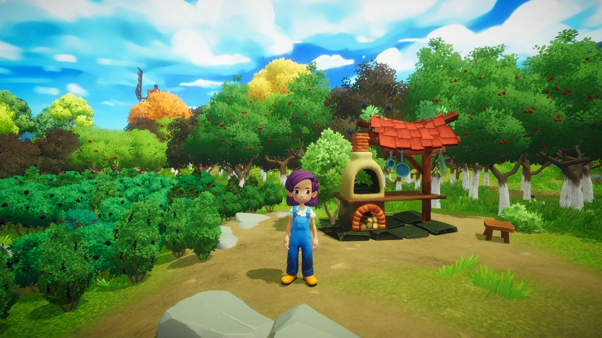 Everdream Valley بي سي ستيم حساب