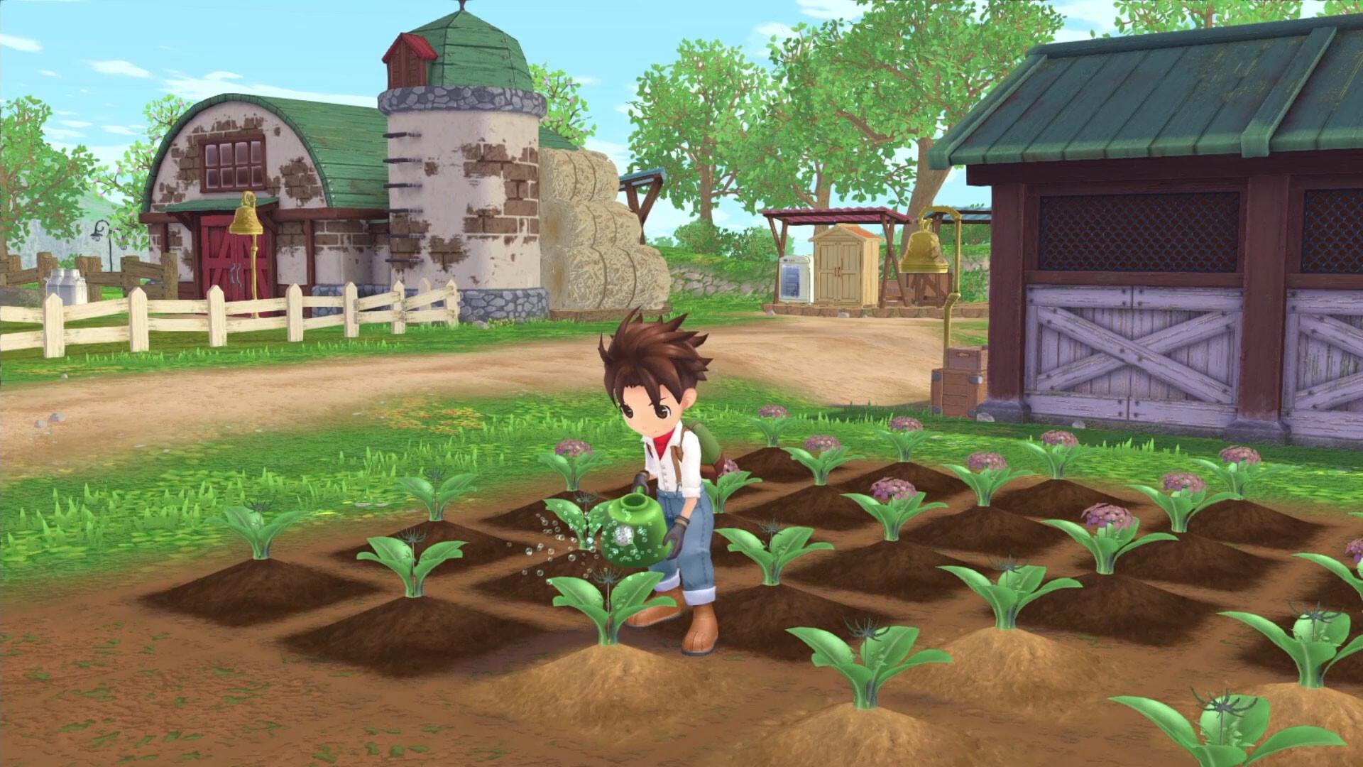 Story Of Seasons: A Wonderful Life بي سي ستيم كود رقمي