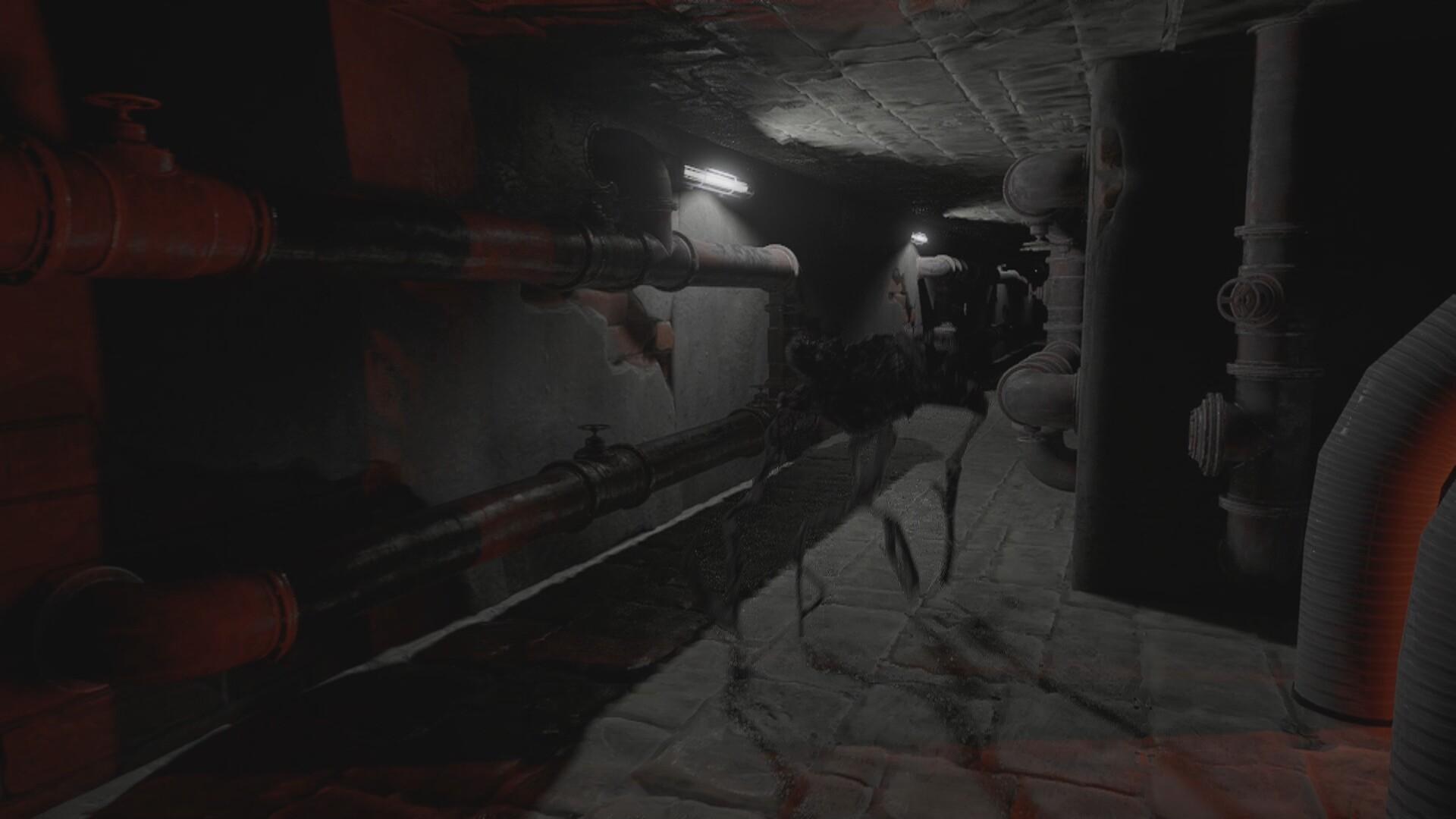 Lost Hope: Backrooms ستيم كود رقمي