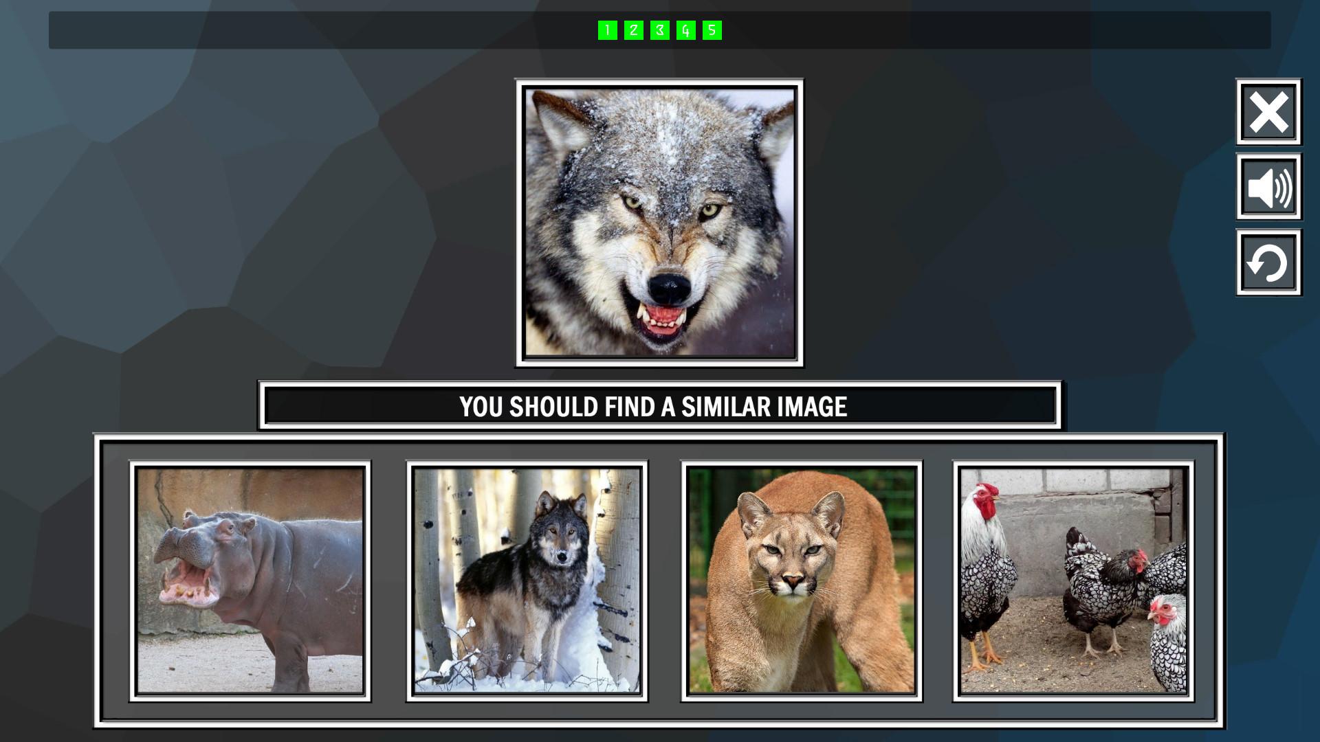 Repeat The Image: Animals ستيم كود رقمي