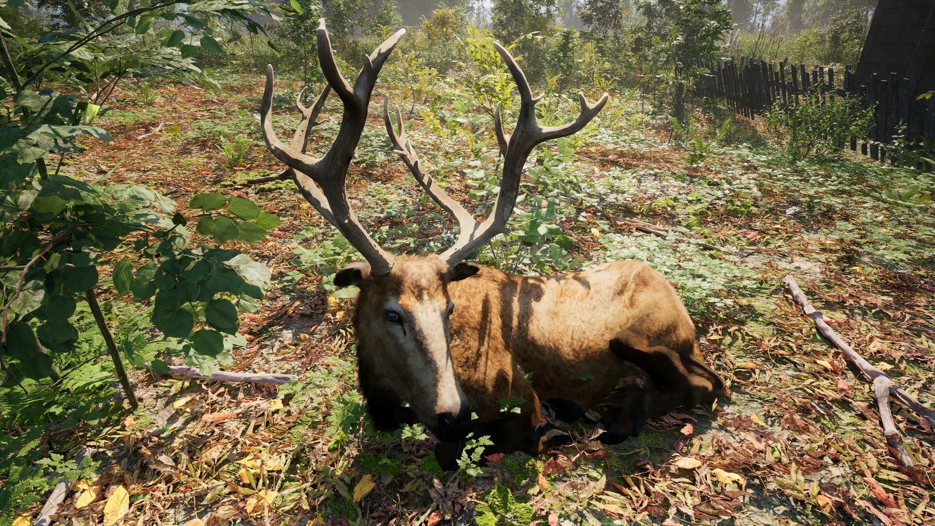 الروسية Soul Simulator ستيم كود رقمي