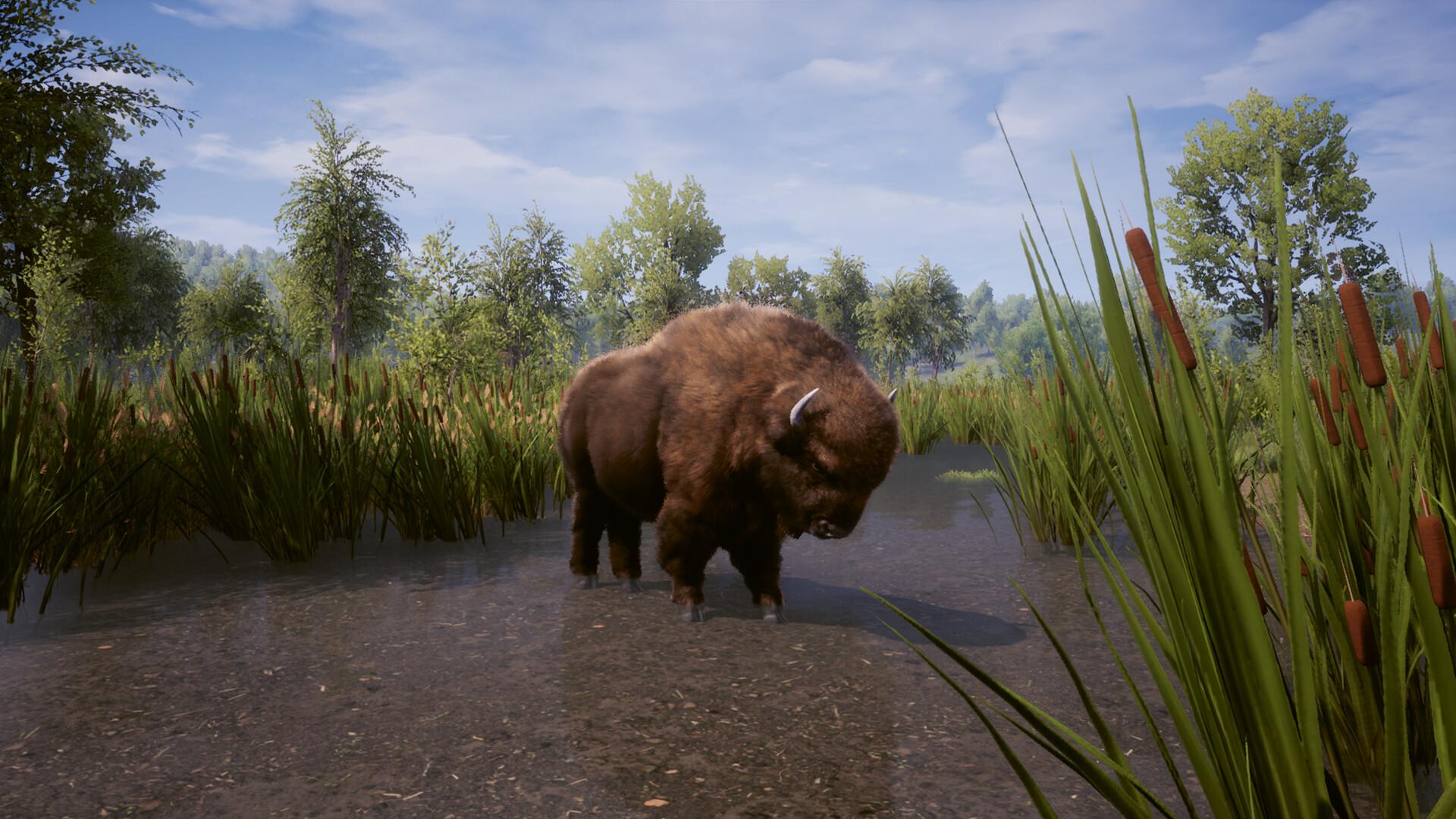 RimWorld & Medieval Dynasty حزمة ستيم كود رقمي