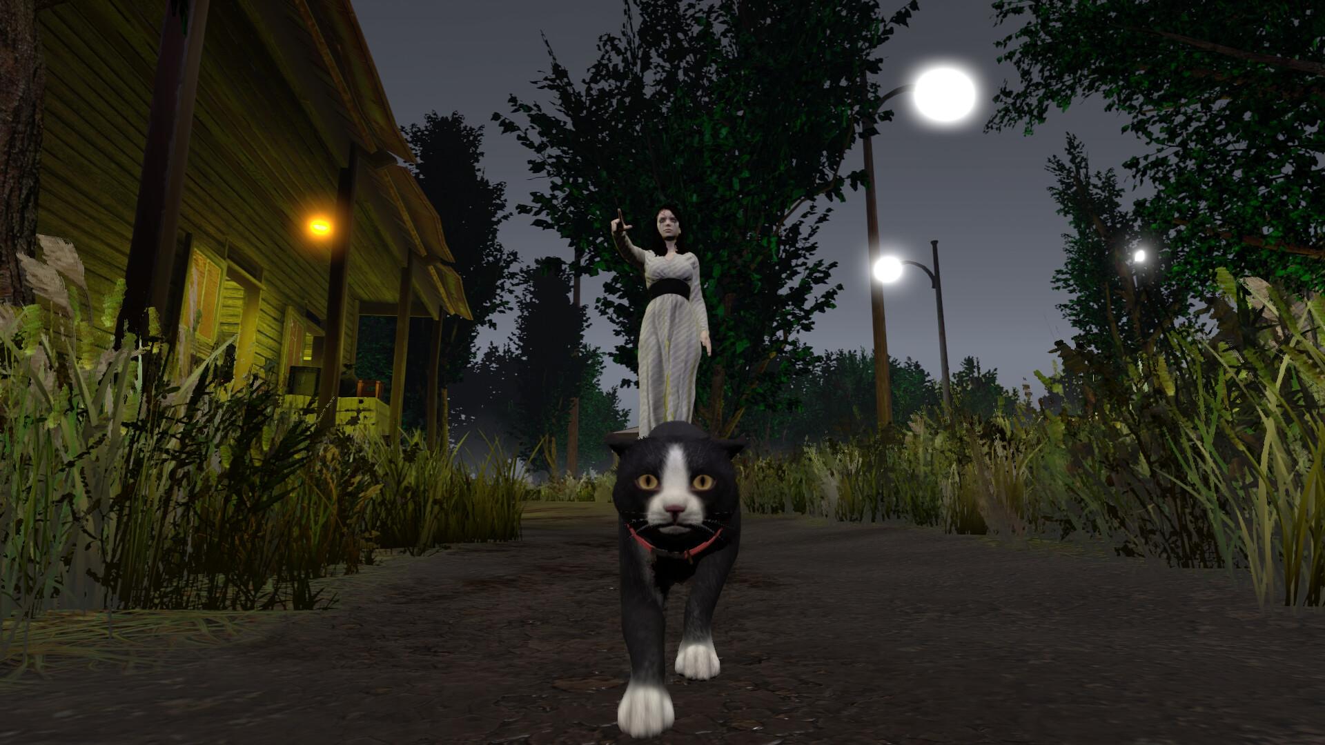 Shadows In Silence بي سي ستيم كود رقمي