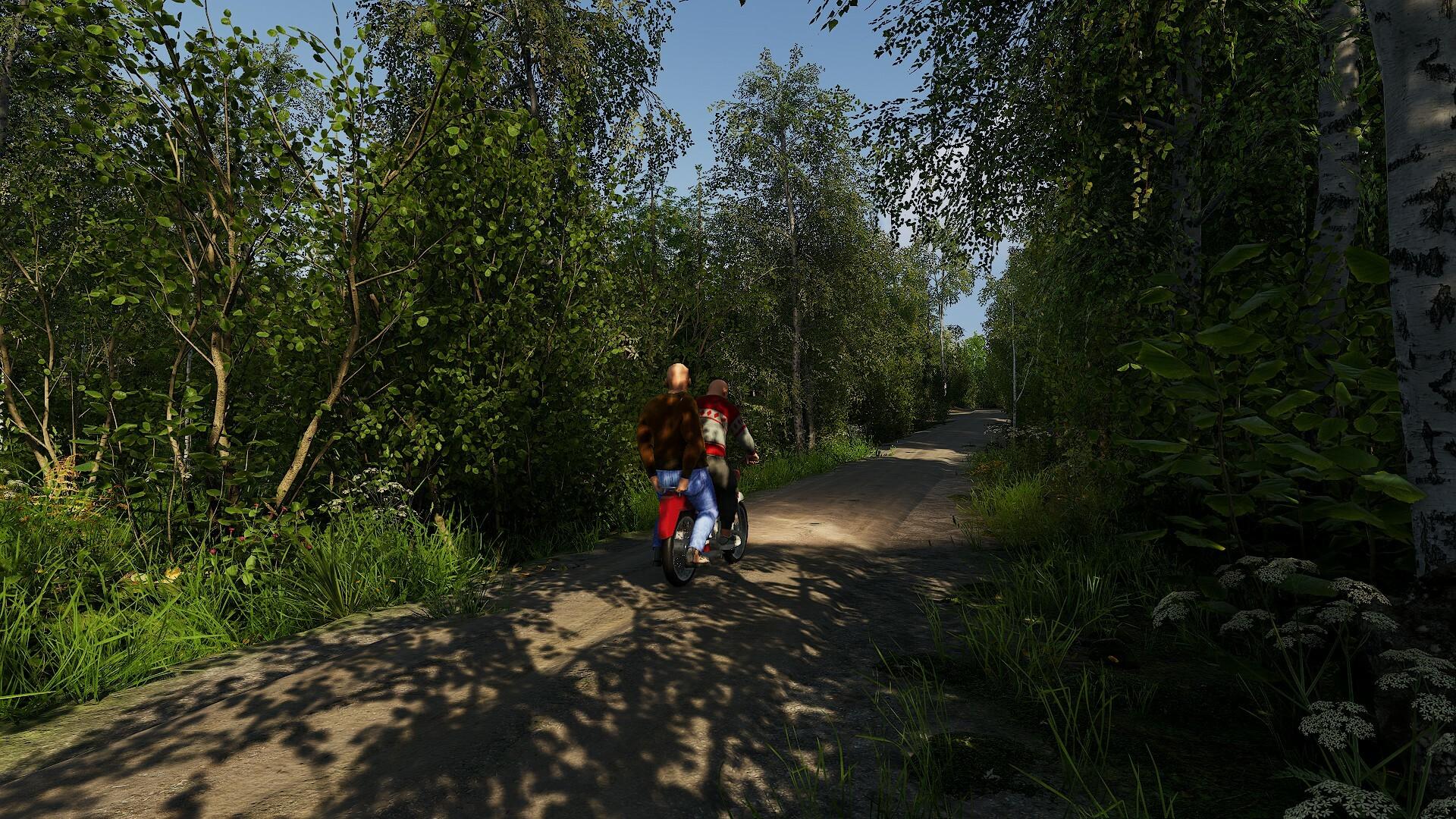 Finnish Cottage Simulator بي سي ستيم حساب