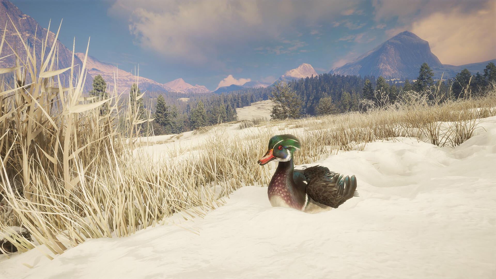 TheHunter: Call Of The Wild - Alberta Hunting Preserve DLC بي سي ستيم كود رقمي