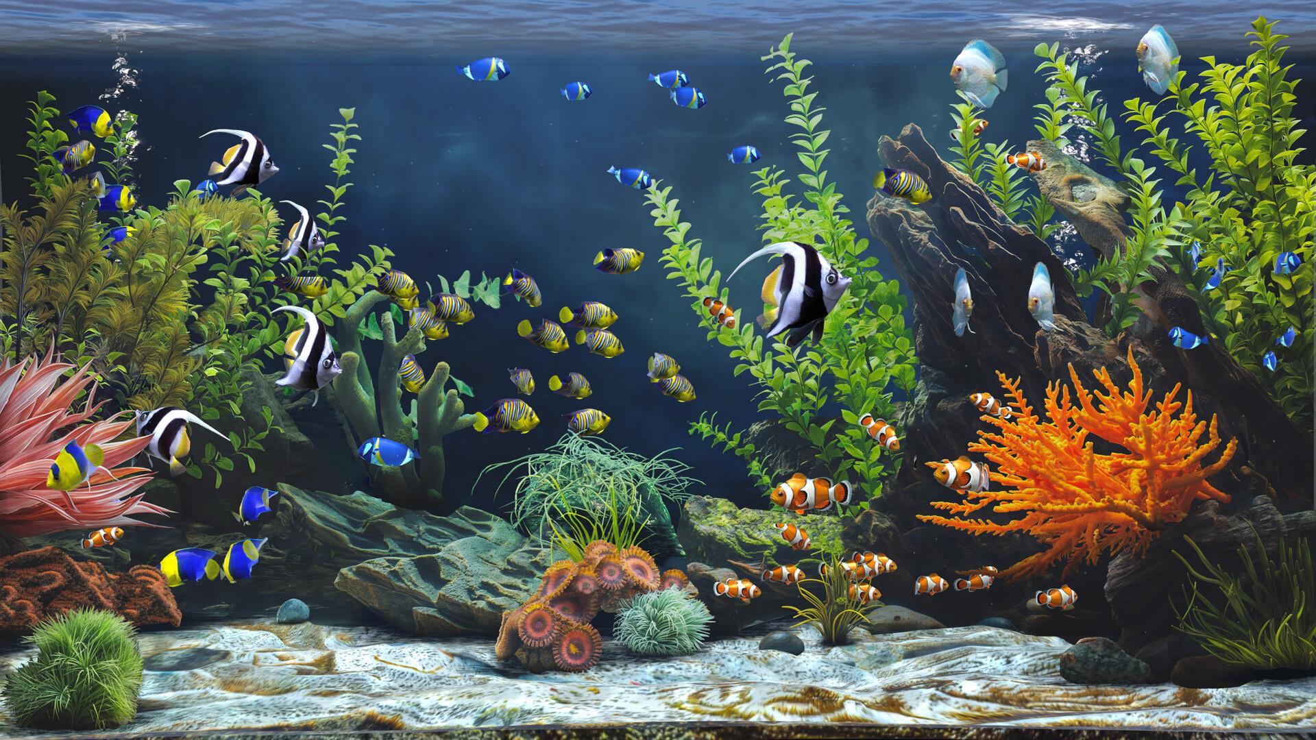 Zen Aquarium بي سي ستيم كود رقمي