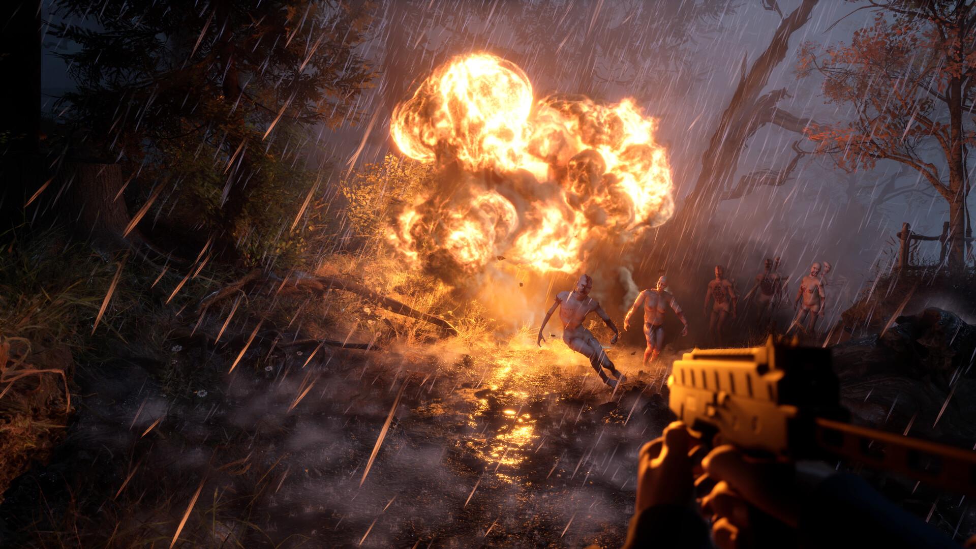 Bleak Haven بي سي ستيم حساب