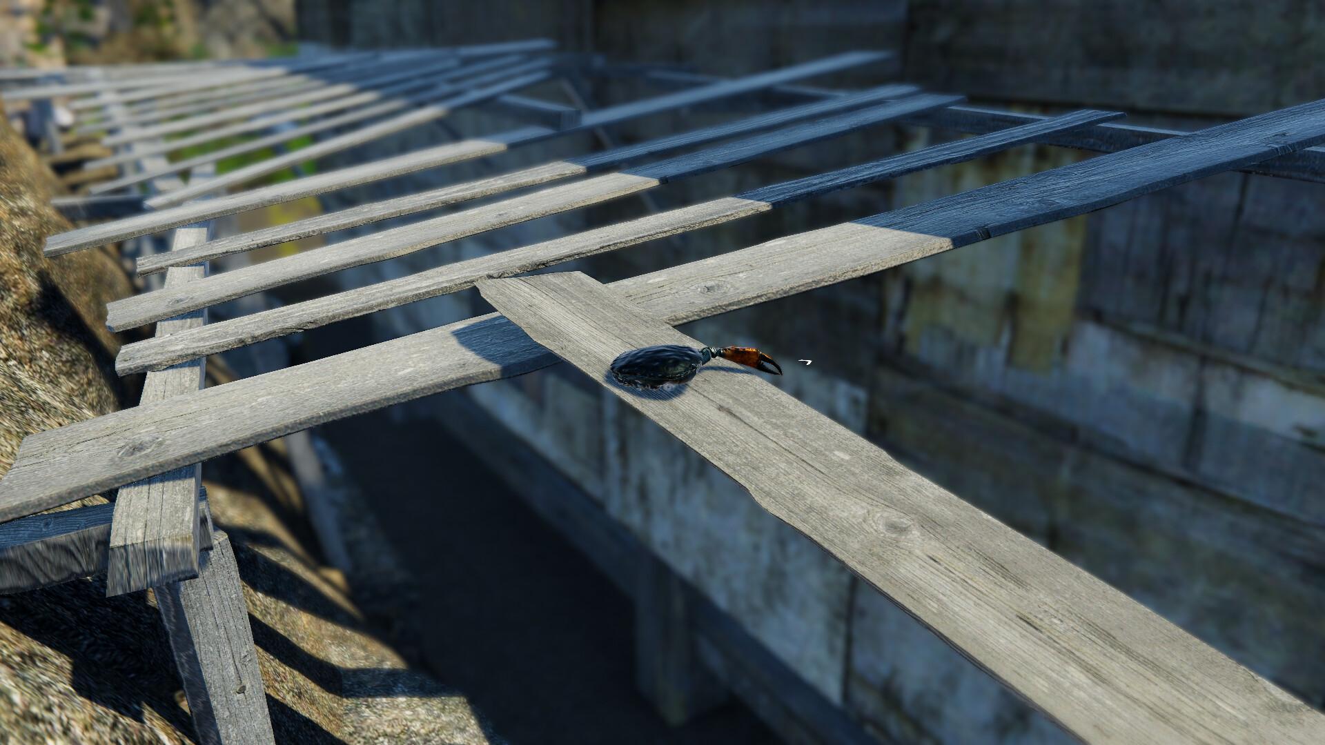 Strong Crab بي سي ستيم كود رقمي