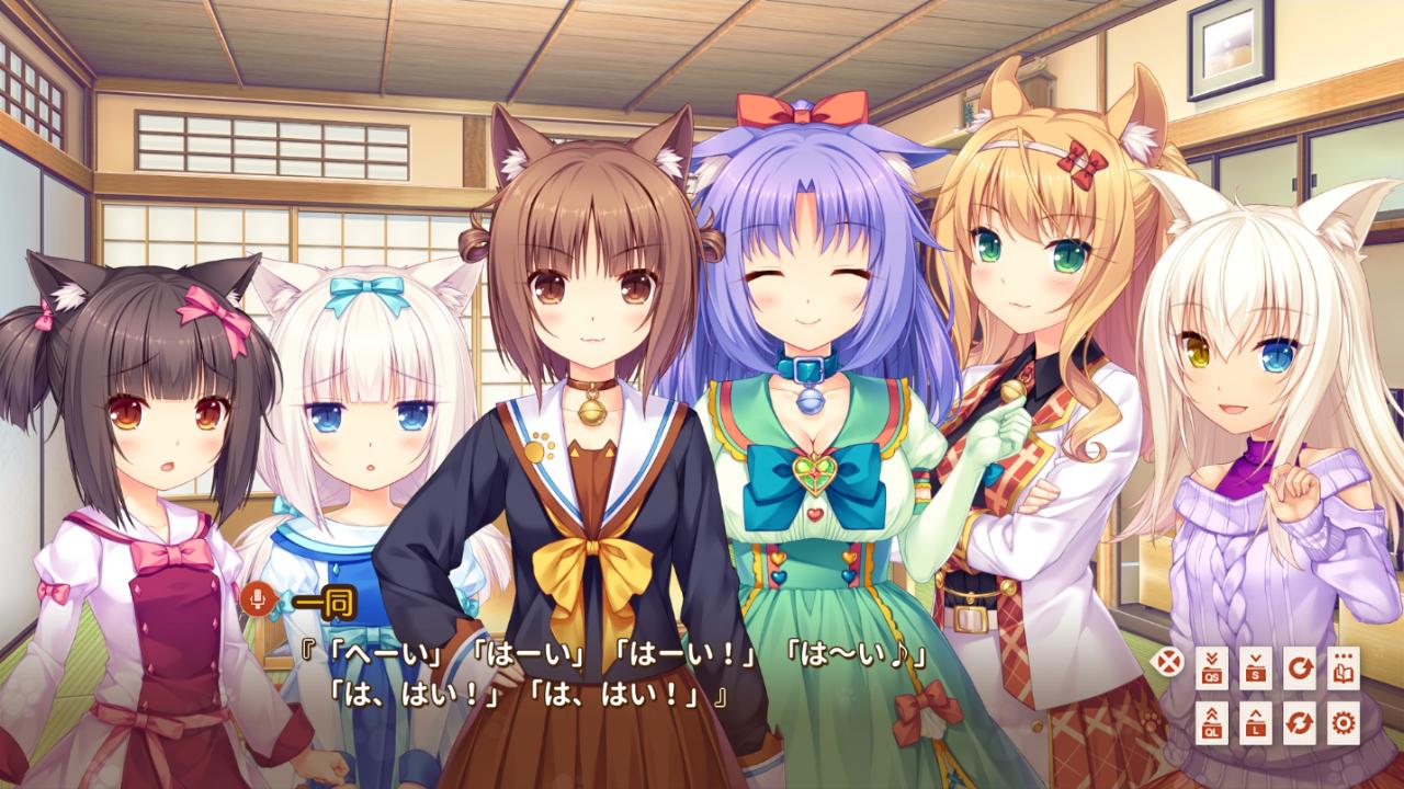 NEKOPARA اضافي بي سي ستيم كود رقمي