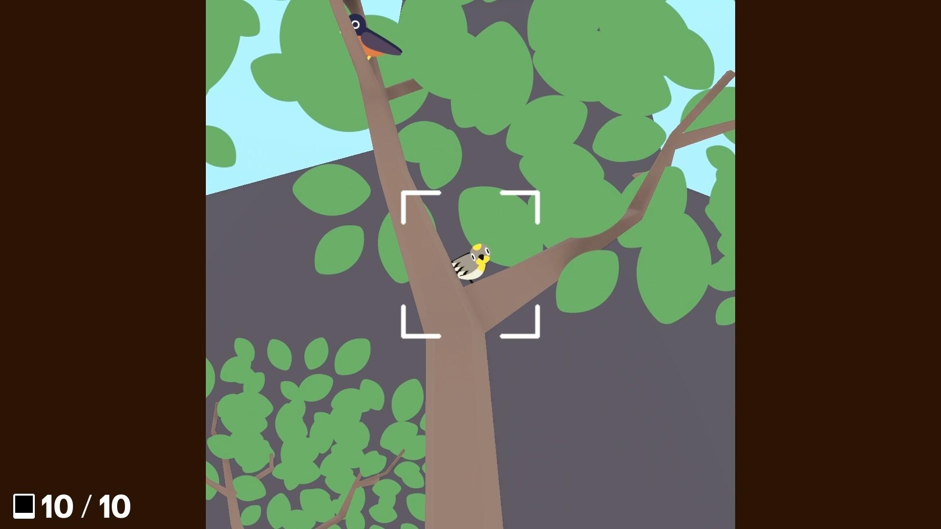 Flock Around بي سي ستيم كود رقمي