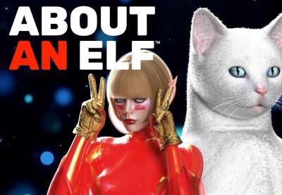 About An Elf بي سي ستيم كود رقمي