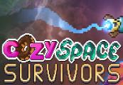Cozy Space Survivors بي سي ستيم كود رقمي