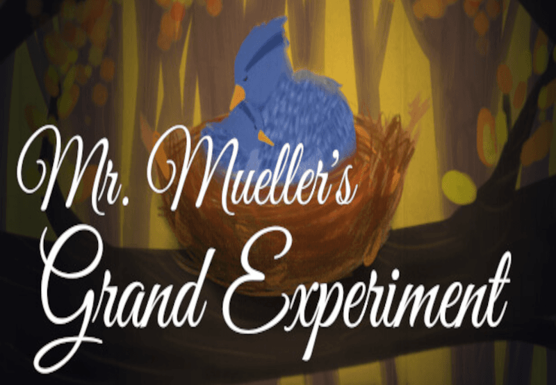 Mr. Mueller'S Grand Experiment بي سي ستيم كود رقمي