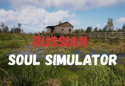 الروسية Soul Simulator ستيم كود رقمي