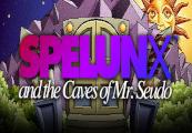 Spelunx And The Caves Of Mr. Seudo اوروبي ستيم كود رقمي