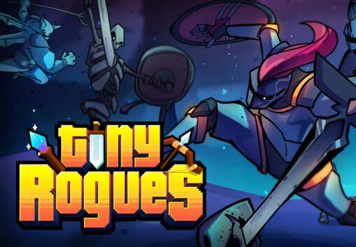 Tiny Rogues بي سي ستيم حساب