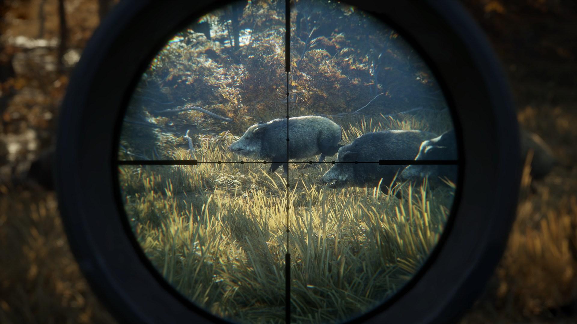 TheHunter: Call Of The Wild Silver حزمة ستيم كود رقمي