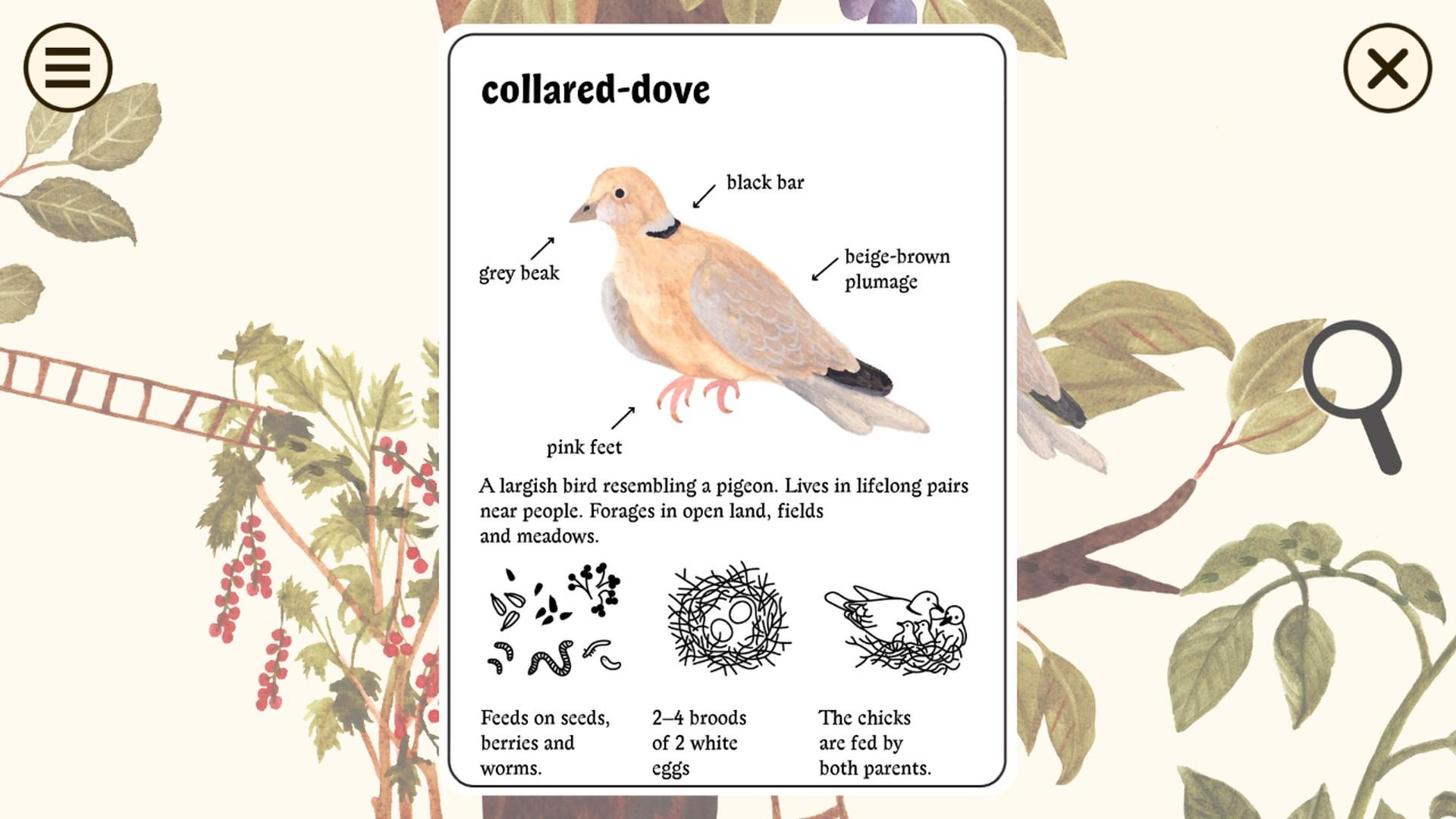 Little Mouse'S Encyclopedia + Clumsy Rush ارجنتيني اكسبوكس 1 / إكس بوكس سيريس X|S كود رقمي