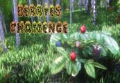 Berries Challenge ستيم كود رقمي