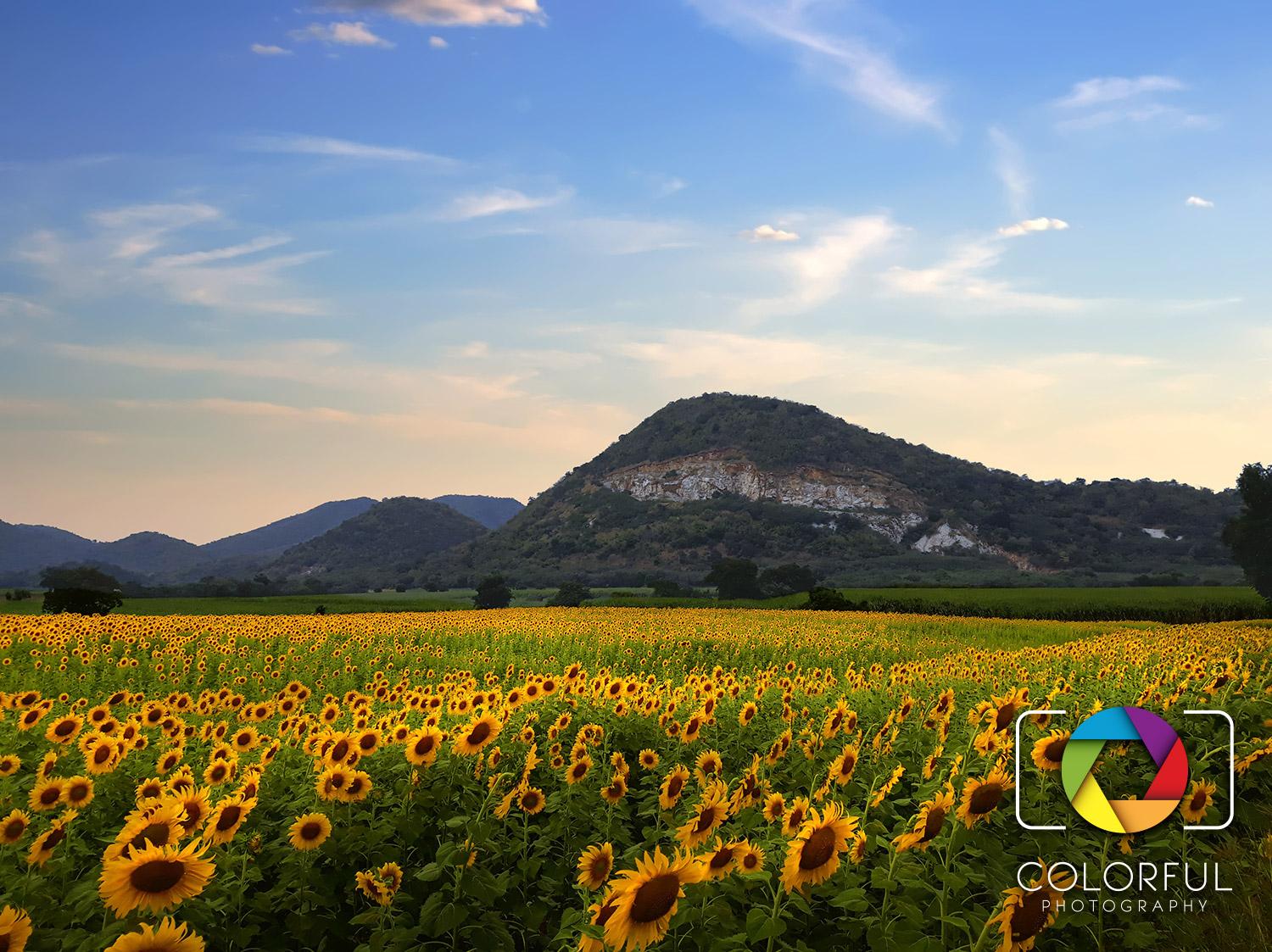 LandscapePro 3 كود رقمي