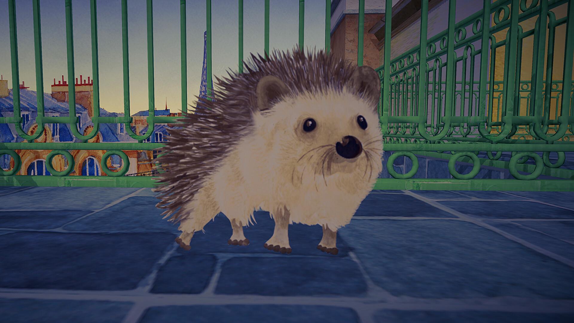 Pocket Oasis بي سي ستيم كود رقمي